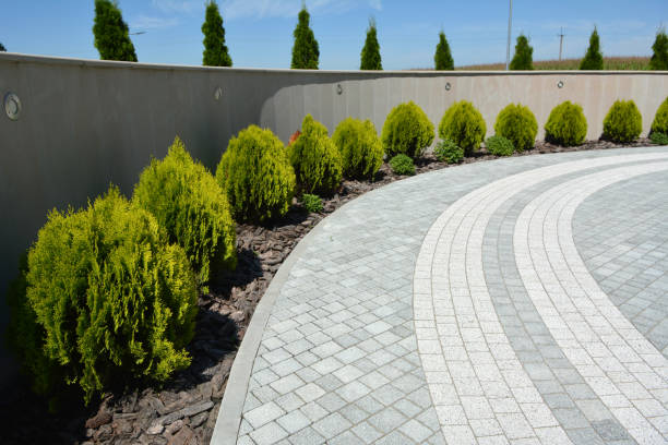 Best Driveway Paving Company  in Lake Mohegan, NY